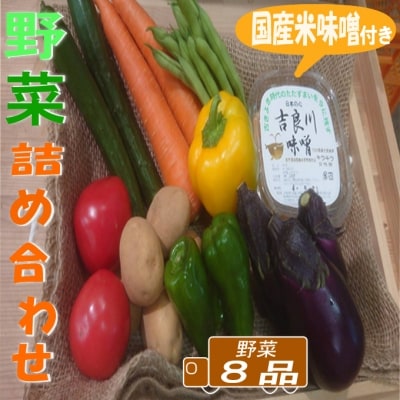 お味噌と8品野菜セット