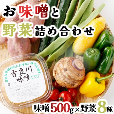 お味噌と8品野菜セット