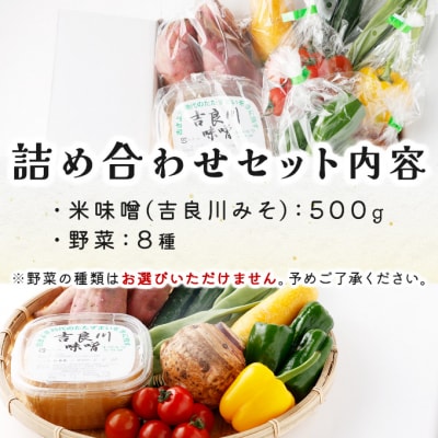お味噌と8品野菜セット