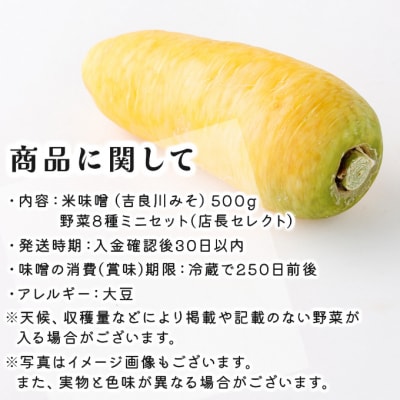 お味噌と8品野菜セット