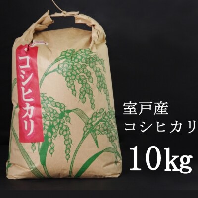 【令和3年産】室戸産新米コシヒカリ10kg