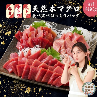 天然本マグロ 赤身・中トロ・大トロ 切り落とし刺身用セット 海鮮漬け丼などアレンジさまざま