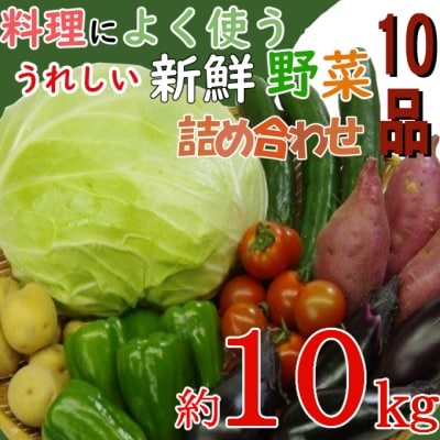 大家族(5～6人)向け!うれしい野菜10品詰め合わせ 約10kg