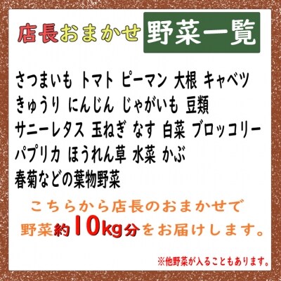 大家族(5～6人)向け!うれしい野菜10品詰め合わせ 約10kg