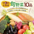レシピ付き! 年4回春夏秋冬の旬野菜10品お届け野菜定期便　野菜セット