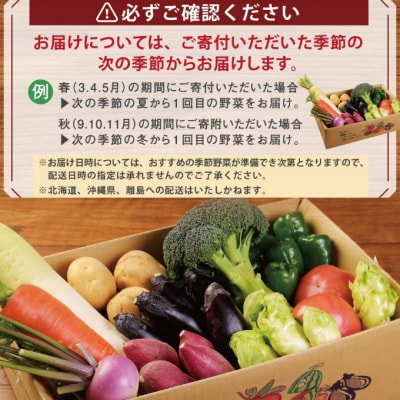 【野菜定期便年4回お届け】　春夏秋冬のお野菜詰め合わせ10品　レシピ付き春夏秋冬の野菜セット