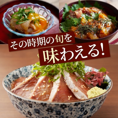 初音の旬魚の漬け丼セット【6回定期便】