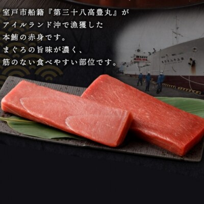 【年末お届け】高豊丸天然本まぐろ　赤身サク(下処理済・上品)500g以上