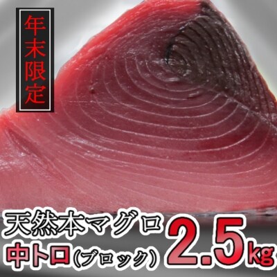 【年末限定受付】高豊丸天然本まぐろ　中トロ2.5kg(小分けカット済)