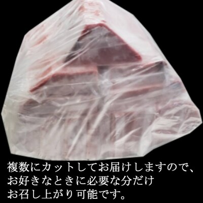 【年末限定受付】高豊丸天然本まぐろ　中トロ2.5kg(小分けカット済)