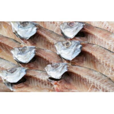 トロ鯵(アジ)の干物セット定期便【全3回】　あじ干物