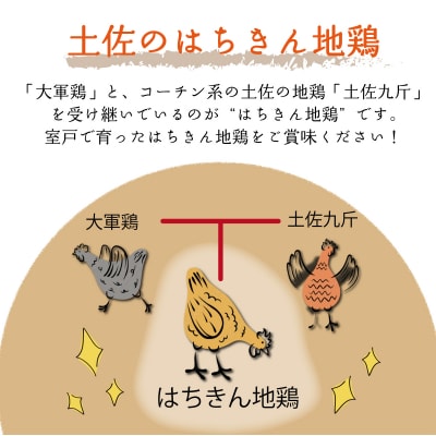 土佐はちきん地鶏使用 鶏もも肉カット 小分けセット 500g とり肉もも 鳥もも肉