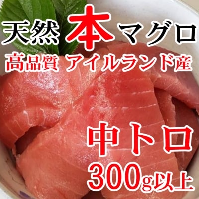 「訳あり」天然本マグロ中トロサク(数量限定)