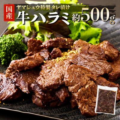 ヤマジュウの特製タレ漬け!牛ハラミ肉500g
