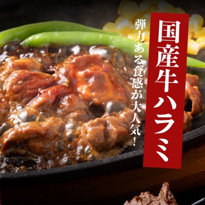 ヤマジュウの特製タレ漬け!牛ハラミ肉500g