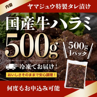 ヤマジュウの特製タレ漬け!牛ハラミ肉500g