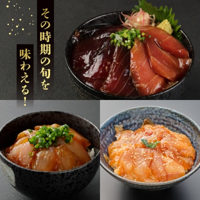 初音の旬魚の漬け丼2セット【3回定期便】