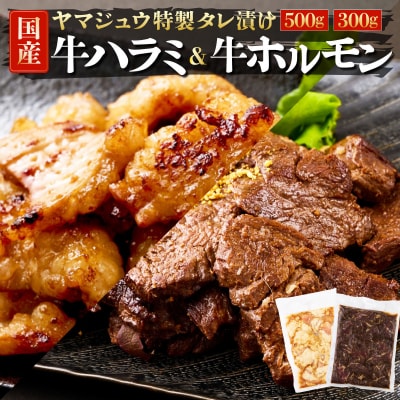 ヤマジュウの特選タレ漬け!牛ハラミ肉500g&国産牛ホルモン300g