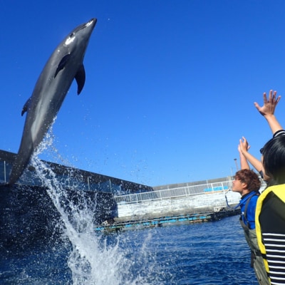 浅瀬ふれあい体験1名(中学生以上)