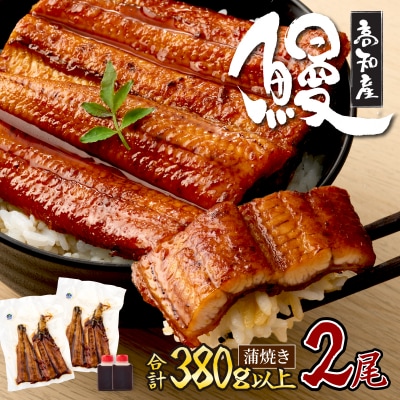 うなぎの蒲焼き2尾 鰻蒲焼 国産 厳選高知県産