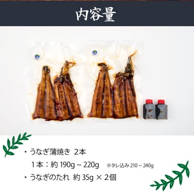 うなぎの蒲焼き2尾 鰻蒲焼 国産 厳選高知県産
