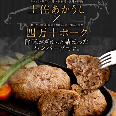 土佐あかうしと四万十ポークのハンバーグ20個セット