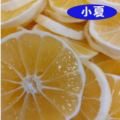 フローズンまるごと果実(小夏・山桃(やまもも))