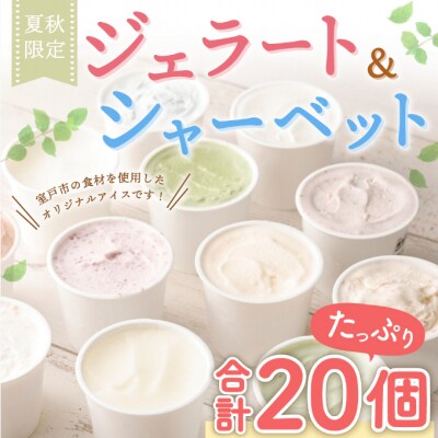 【夏秋限定で無くなり次第終了】ジェラート等20個詰め合わせセット