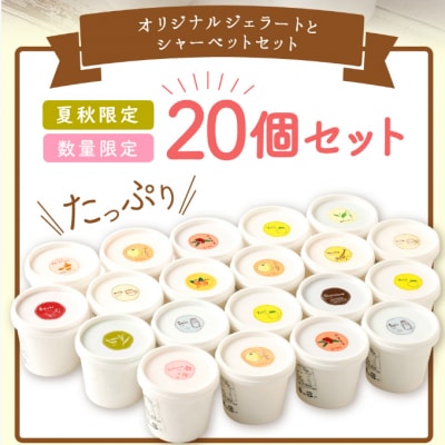 【夏秋限定で無くなり次第終了】ジェラート等20個詰め合わせセット