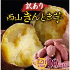【12月お届け】【訳あり】西山きんとき芋(さつまいも)　10kg　新芋