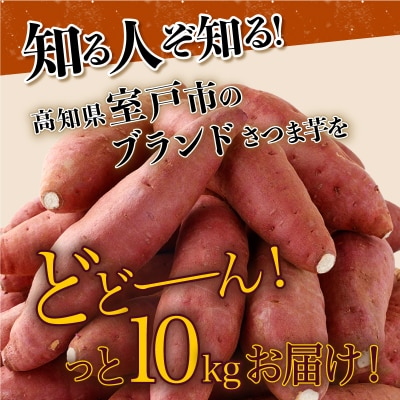 【12月お届け】【訳あり】西山きんとき芋(さつまいも)　10kg　新芋