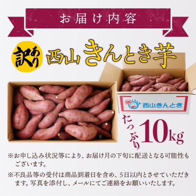 【令和9年2月お届け】【訳あり】西山きんとき芋(さつまいも)　10kg