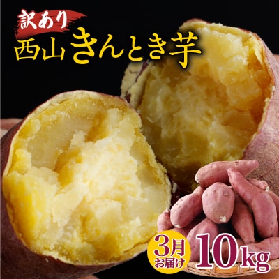 【令和9年3月お届け】【訳あり】西山きんとき芋(サツマイモ)　10kg