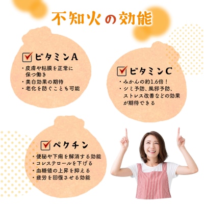 【先行受付】岡村農園の不知火【3kg】※秀品 フルーツ 柑橘3kg