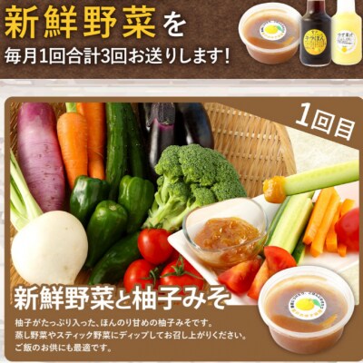 【3ヶ月定期】7～8種類　野菜セット(ゆずみそ・ポン酢・ゆず果汁)