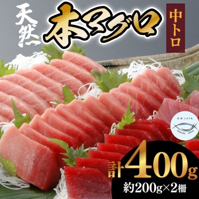 本マグロ　中トロ　2柵(400g)