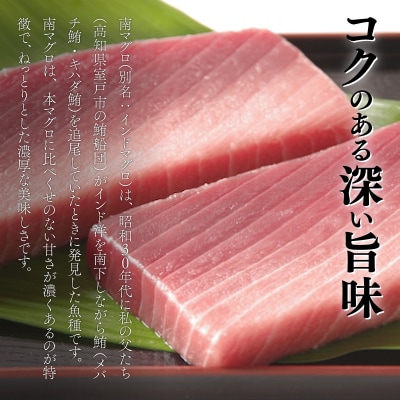 【6回定期便】本マグロ　南マグロ　中トロ　各2柵　偶数月にお届け