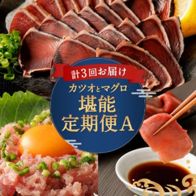 【定期便3回】カツオとマグロ堪能定期便A かつおのたたき まぐろ切り落とし ネギトロ