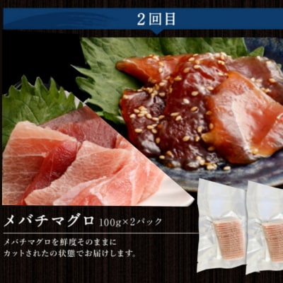 【定期便3回】カツオとマグロ堪能定期便A かつおのたたき まぐろ切り落とし ネギトロ