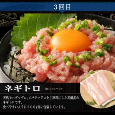 【定期便3回】カツオとマグロ堪能定期便A かつおのたたき まぐろ切り落とし ネギトロ