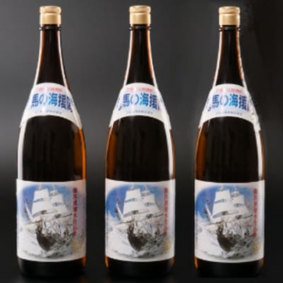 本格米焼酎(25度)龍馬の海援隊1800ml×3本