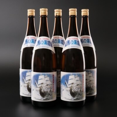 本格米焼酎　25度　龍馬の海援隊1800ml×5本