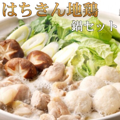【年末限定】室戸市まるごと定期便【3回お届け】 はちきん地鶏 鍋セット もも肉 塩焼き たれ焼き
