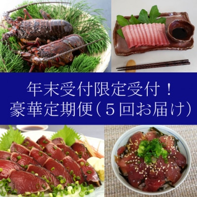 【年末限定受付】　豪華定期便(5回お届け)