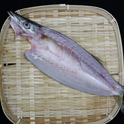 骨抜き本かますフィーレ