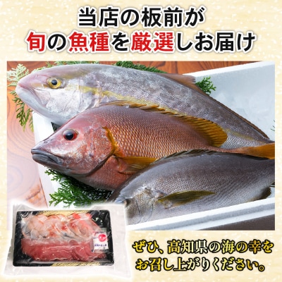 お刺身セット 2～3種盛り合わせセット 旬の地魚 魚介類 さしみ