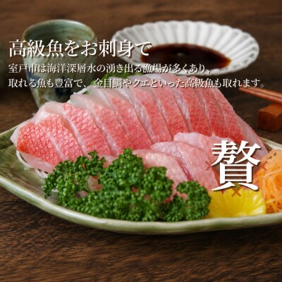 お刺身セット 2～3種盛り合わせセット 旬の地魚 魚介類 さしみ