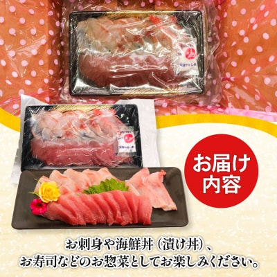 お刺身セット 2～3種盛り合わせセット 旬の地魚 魚介類 さしみ