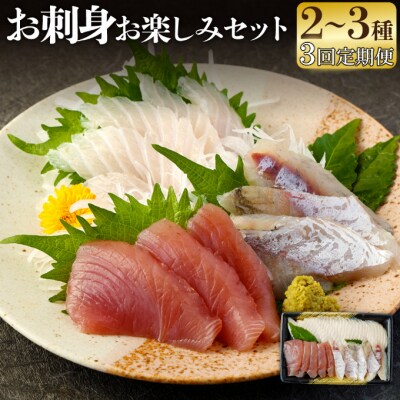 【3回定期便】お刺身セット　2～3種盛り合わせお楽しみ(2～3人前)　魚介類 さしみ 刺し身