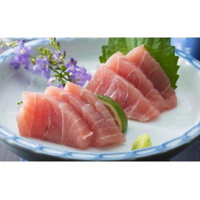 【3回定期便】お刺身セット　2～3種盛り合わせお楽しみ(2～3人前)　魚介類 さしみ 刺し身